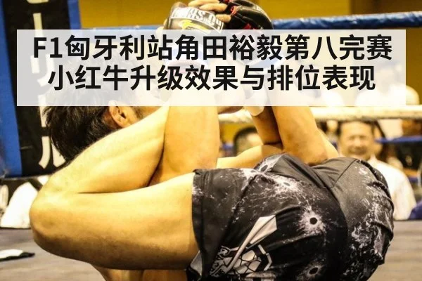 F1匈牙利站角田裕毅第八完赛小红牛升级效果与排位表现