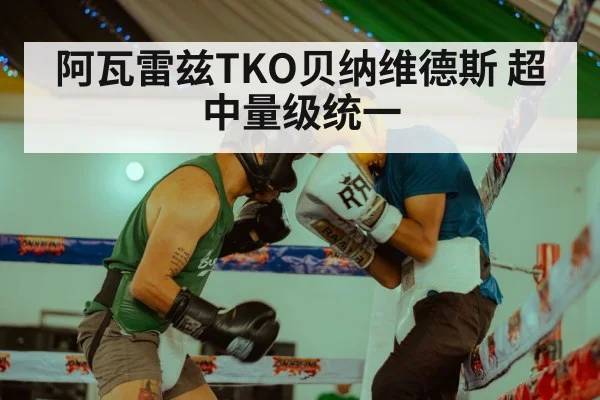 阿瓦雷兹TKO贝纳维德斯 超中量级统一